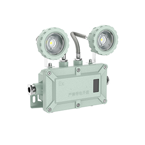 防爆應(yīng)急燈